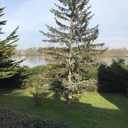 Une nuit sur Loire Treves-Cunault Extérieur photo