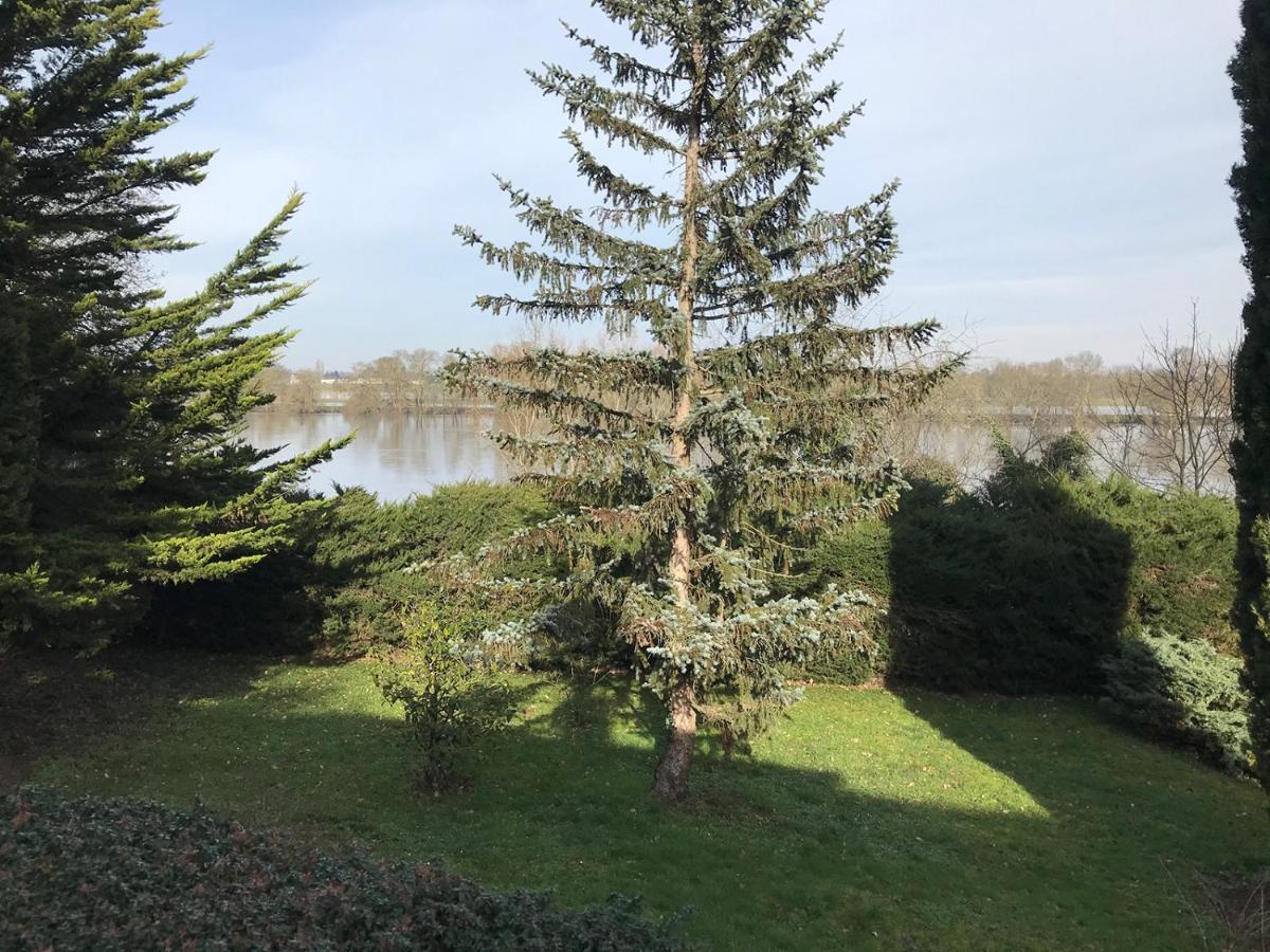 Une nuit sur Loire Treves-Cunault Extérieur photo